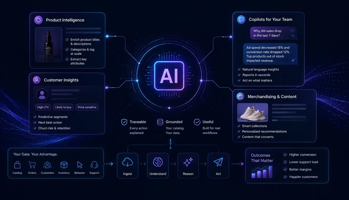 AI for ecommerce operations: product intelligence, customer insights, team copilots, and merchandising workflows